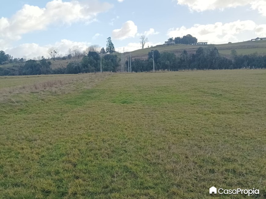 Venta en Río Bueno | SE VENDE PARCELA  SECTOR MANTILHUE
