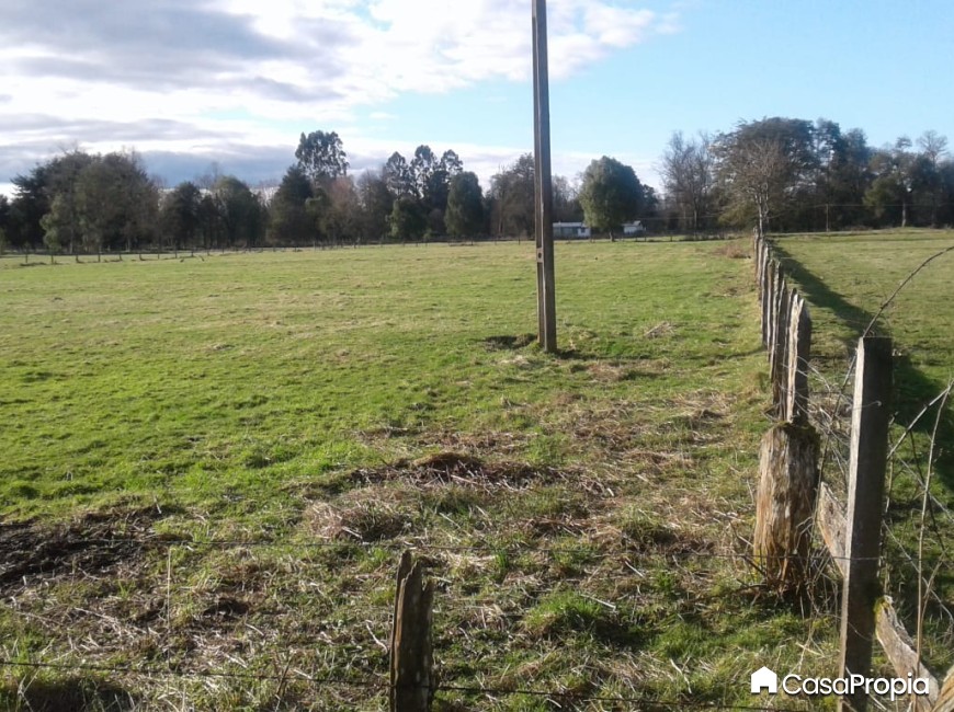 Venta en Osorno | SE VENDE PARCELA SECTOR PICHIDAMAS