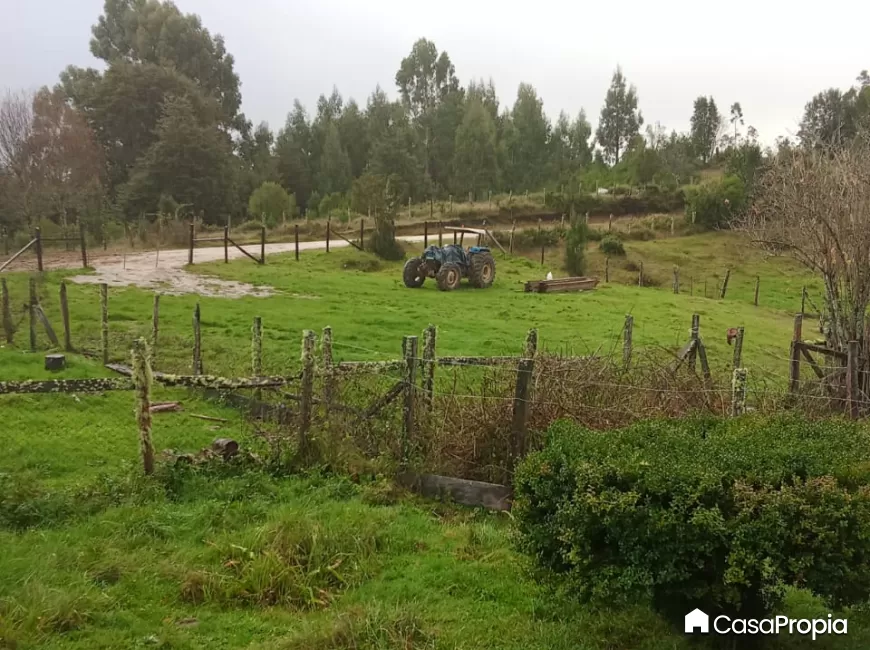 Venta en Osorno | SE VENDE  CAMPO  CAMINO RUTA AL MAR en 244 | SE VENDE  CAMPO  CAMINO RUTA AL MAR