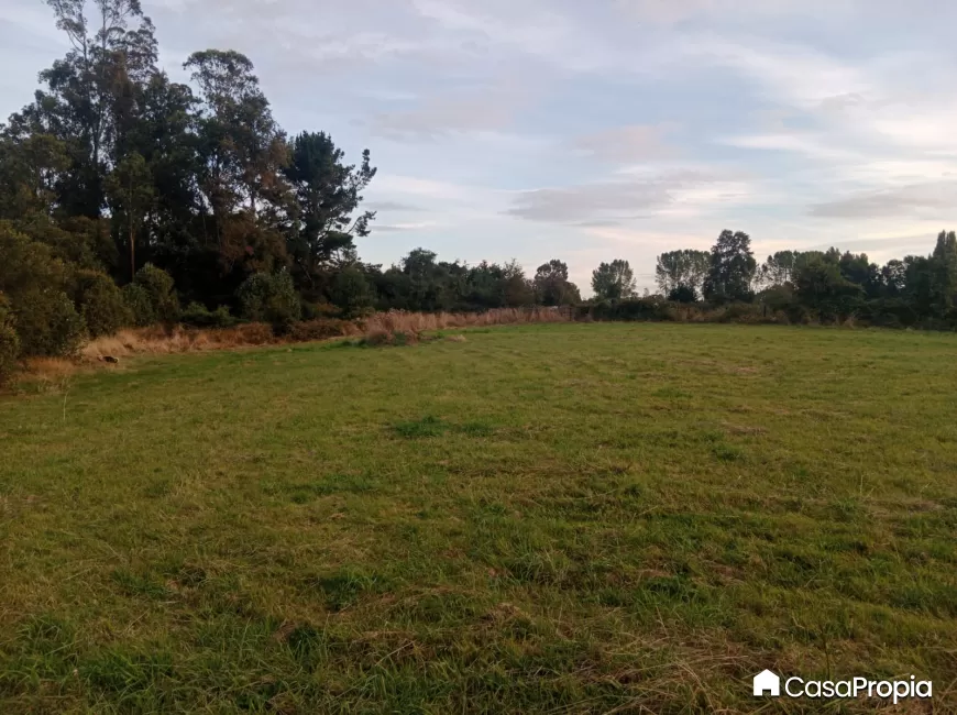 Venta en Río Negro | SE VENDE PARCELA SECTOR SAN FLORENTINO en 249 | SE VENDE PARCELA SECTOR SAN FLORENTINO
