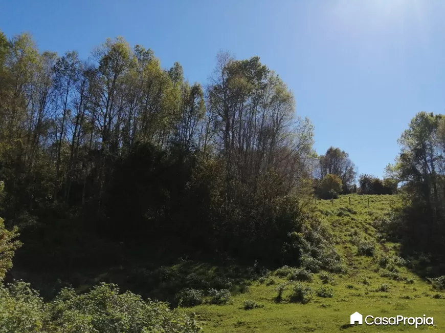 Venta en Río Negro | SE VENDE TERRENO SECTOR RIACHUELO en 249 | SE VENDE TERRENO SECTOR RIACHUELO